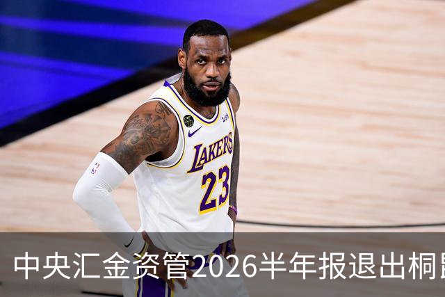 中央汇金资管2026半年报退出桐昆股份前十大股东名单