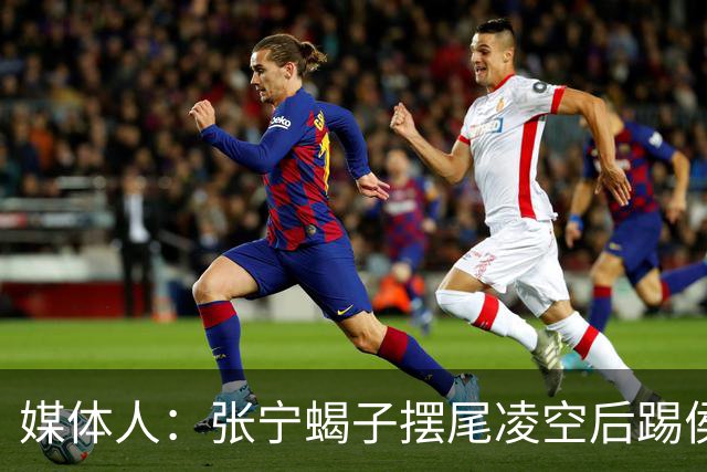 媒体人：张宁蝎子摆尾凌空后踢侯孟泽 这是高难度的武术技击动作