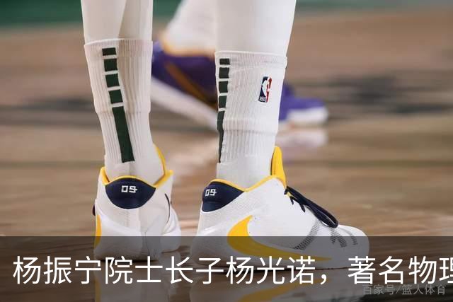 杨振宁院士长子杨光诺，著名物理学家兼诺贝尔物理奖获得者
