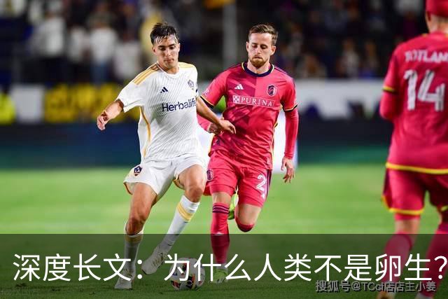 深度长文：为什么人类不是卵生？说出来你可能不信，这事3亿年前就定好了