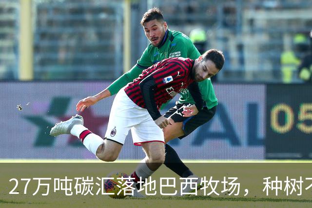 27万吨碳汇落地巴西牧场，种树不赶牛还能多一份收入